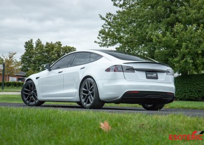 Tesla Model S Plaid Esoteric Detail