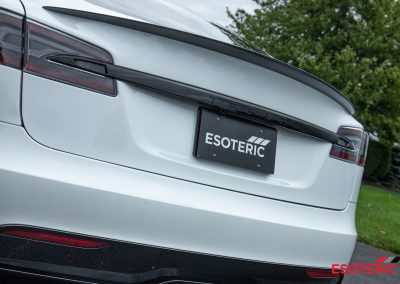 Tesla Model S Plaid Esoteric Detail