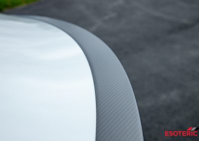 Tesla Model S Plaid Esoteric Detail