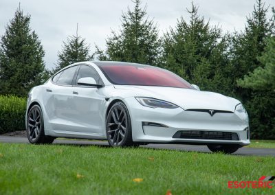 Tesla Model S Plaid Esoteric Detail