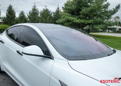 Tesla Model S Plaid Esoteric Detail