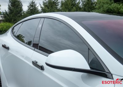 Tesla Model S Plaid Esoteric Detail