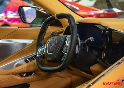 C8 Corvette ESOTERIC Detail