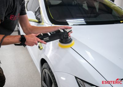 Tesla Model S Plaid Esoteric Detail
