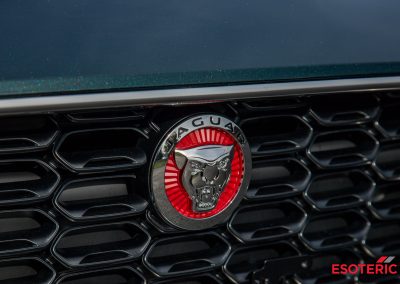 Jaguar F-Type PPF Wrap