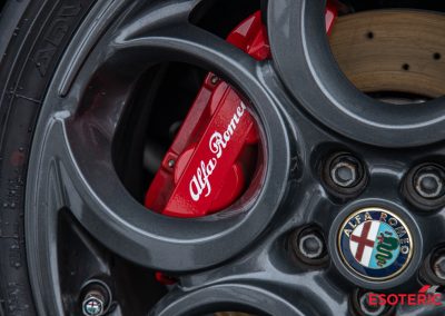 Alfa 4C PPF Wrap 36