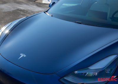 Tesla Model 3 PPF Wrap 29