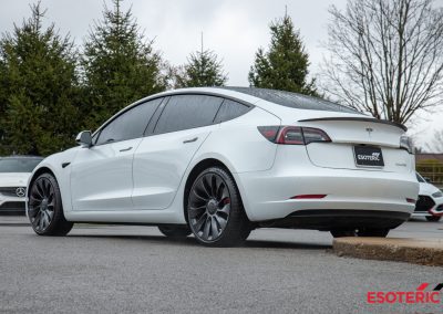 Tesla Model 3 PPF Wrap 14