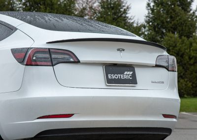 Tesla Model 3 PPF Wrap 16