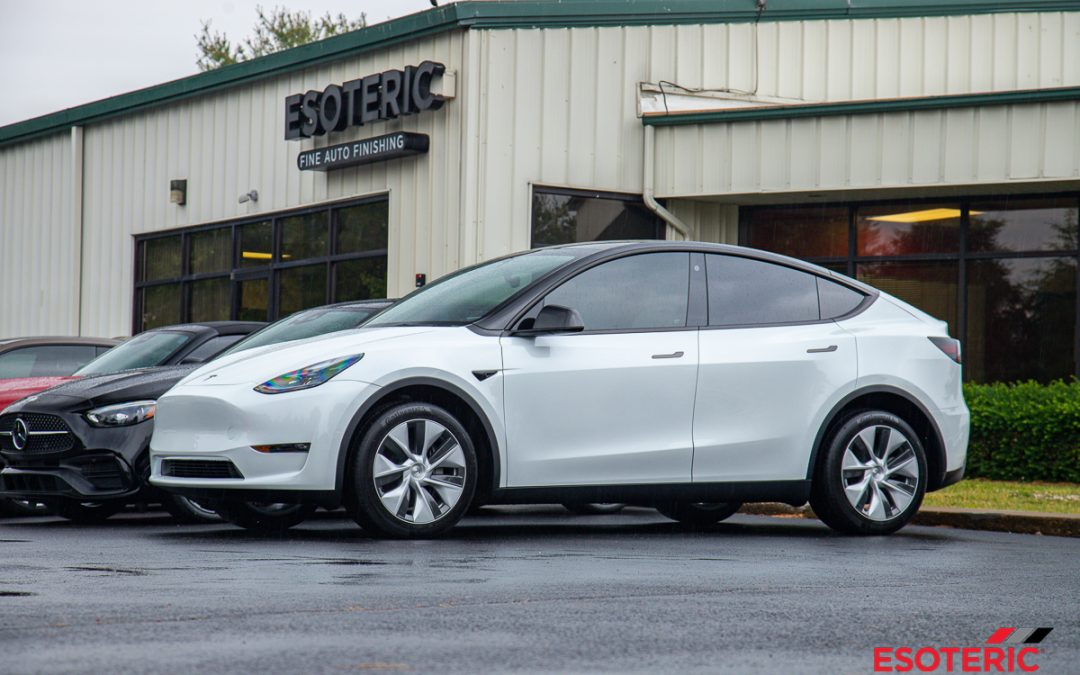 Tesla Model Y White