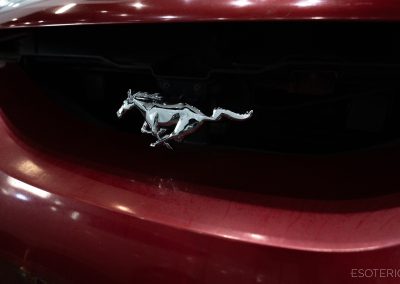 Mustang GT 13