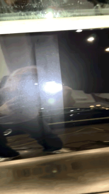 New car paint condition 50/50 after polishing New car paint condition 50/50 after polishing